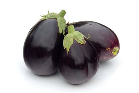 aubergine jackpot|Kings Seeds Aubergine Jackpot 10 Seeds – JustSeed.
